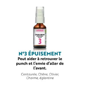 fleur de bach - epuisement- herboristerie le tizaner toke - lyon croix rousse fleur de bach - epuisement- herboristerie le tizaner toke - lyon croix rousse