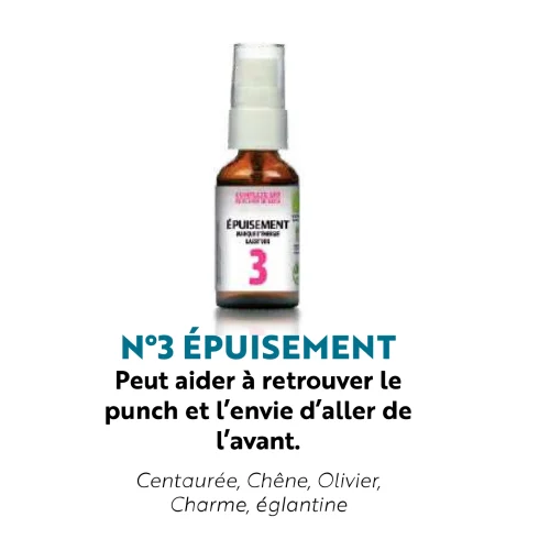 fleur de bach - epuisement- herboristerie le tizaner toke - lyon croix rousse