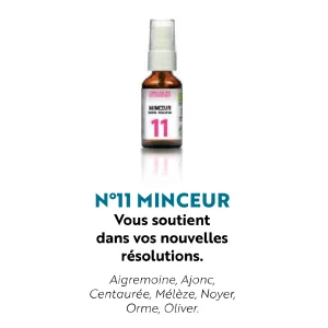 fleur de bach - minceur - herboristerie le tizaner toke - lyon croix rousse fleur de bach - minceur - herboristerie le tizaner toke - lyon croix rousse