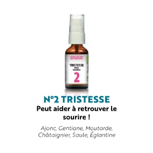 fleur de bach - tristesse- herboristerie le tizaner toke - lyon croix rousse fleur de bach - tristesse- herboristerie le tizaner toke - lyon croix rousse