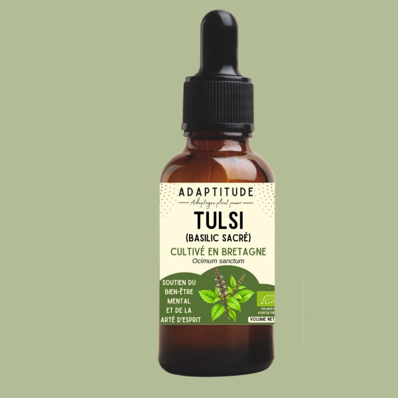 6241788431.jpg Extrait de Tulsi bio (basilic sacré) – 50 ml, flacon compte-gouttes Adaptitude