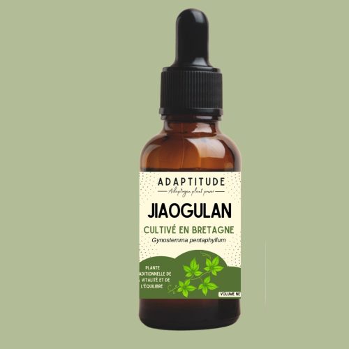 6241938774.jpg Extrait de Jiaogulan (herbe de l'immortalité) – 50 ml, flacon compte-gouttes Adaptitude