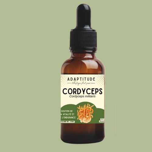 6242768915.jpg Extrait de Cordyceps militaris – 50 ml, flacon compte-gouttes Adaptitude