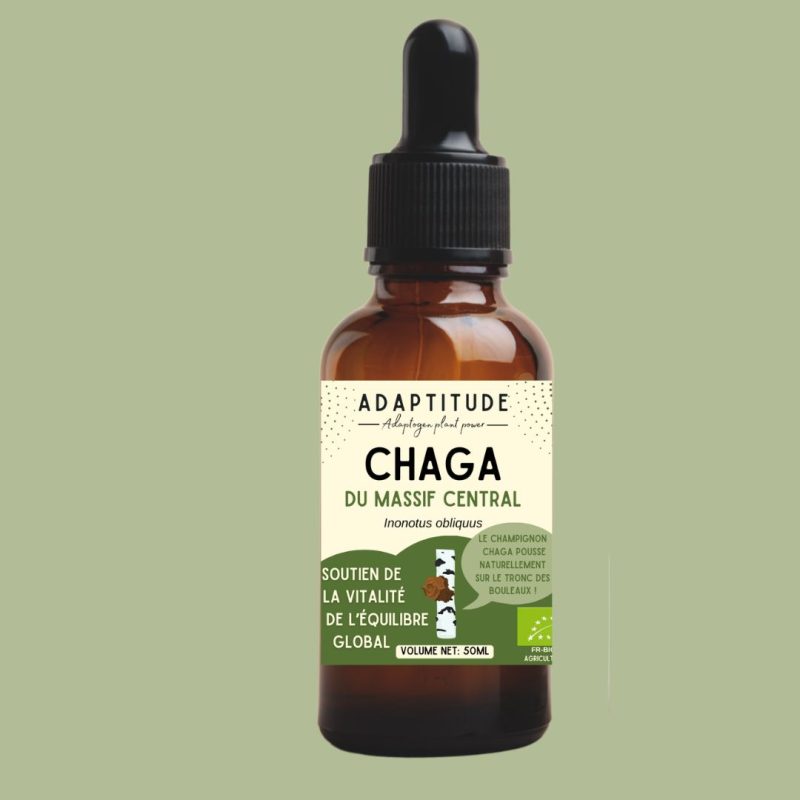 6242768961.jpg Extrait de Chaga bio – 50 ml, flacon compte-gouttes Adaptitude