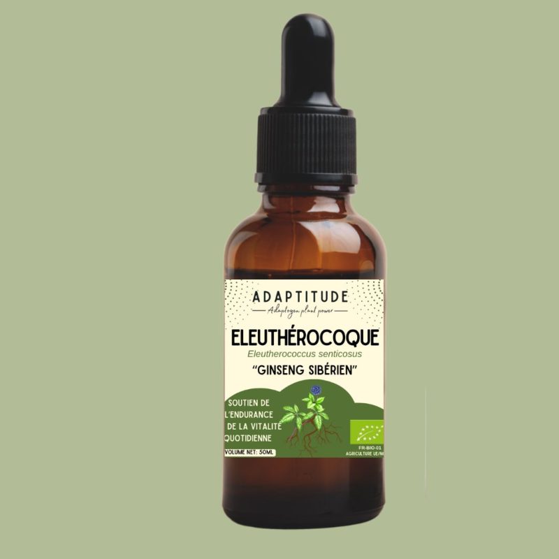 6242774844.jpg Extrait d'Éleuthérocoque bio (ginseng sibérien) – 50 ml, flacon compte-gouttes Adaptitude