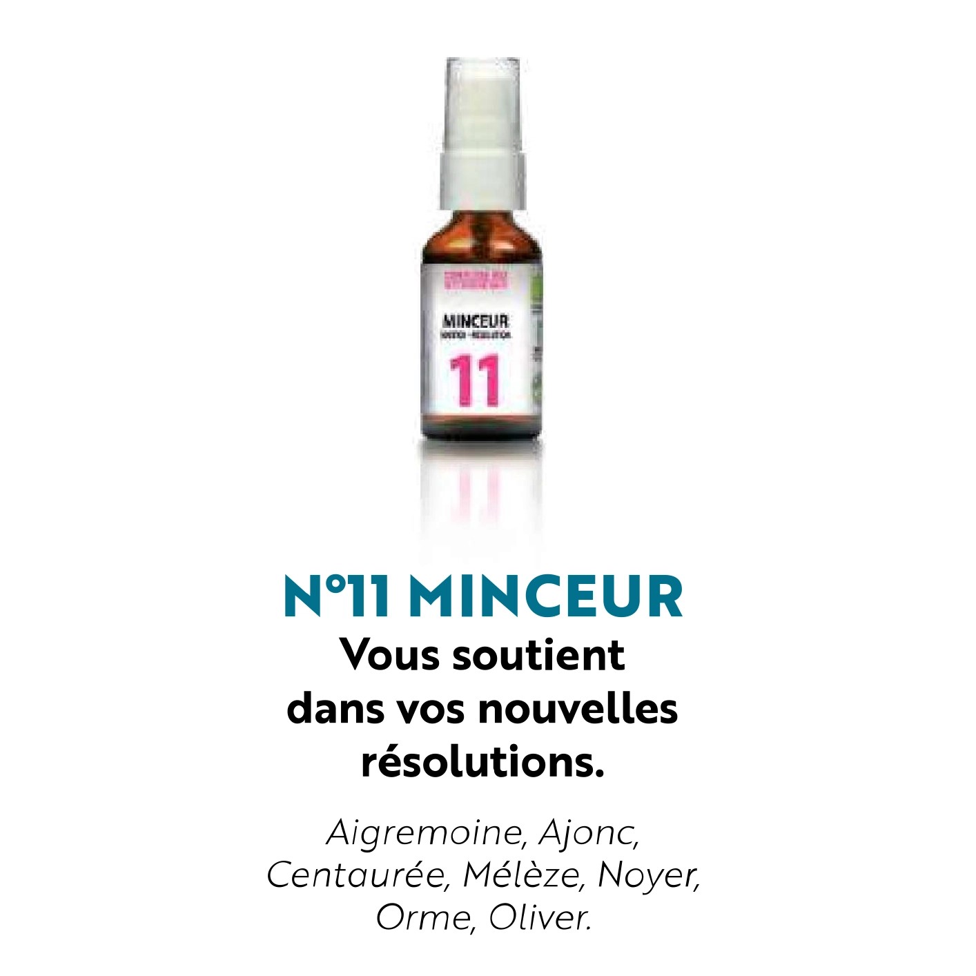 fleur de bach - minceur - herboristerie le tizaner toke - lyon croix rousse