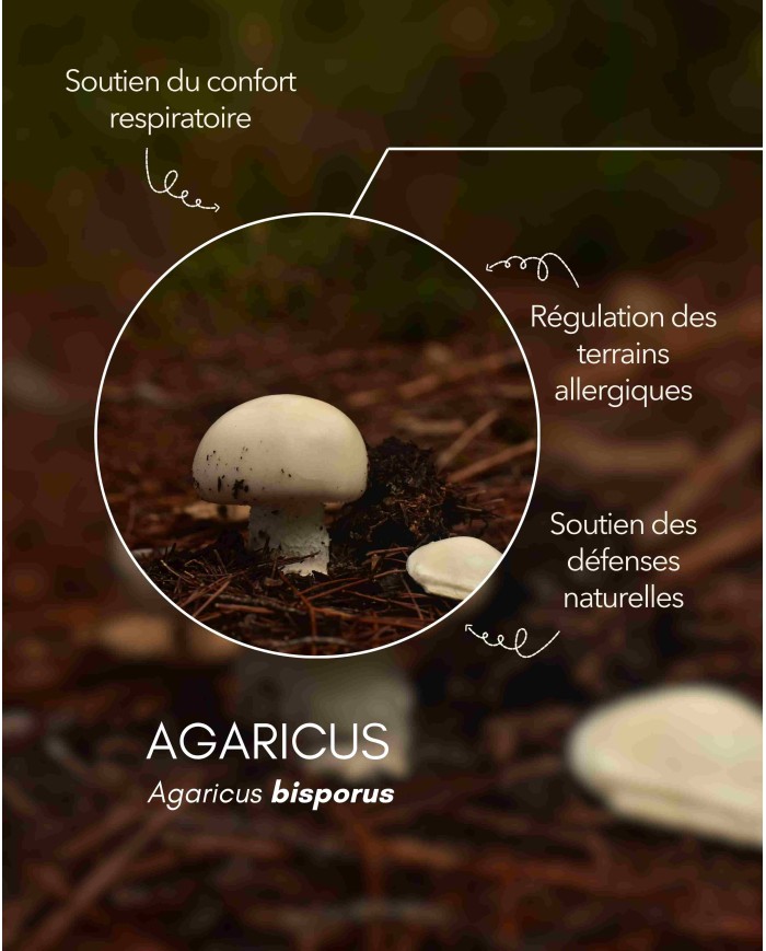 karandja-mycostim-agaricus-150ml-bio-2.jpg Extrait de champignon bio Agaricus 150 ml, flacon en verre ambré – vue 3