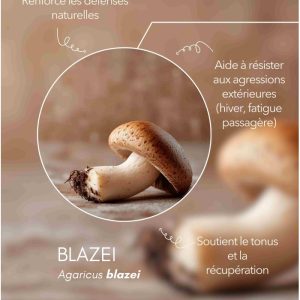 karandja-mycostim-blazei-150ml-bio-2.jpg Extrait de champignon bio Blazei 150 ml, flacon en verre ambré – vue 3