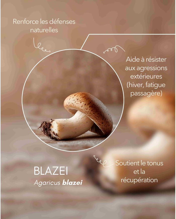 karandja-mycostim-blazei-150ml-bio-2.jpg Extrait de champignon bio Blazei 150 ml, flacon en verre ambré – vue 3