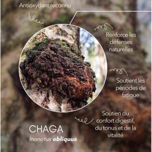 karandja-mycostim-chaga-150ml-bio-2.jpg Extrait de champignon bio Chaga 150 ml, flacon en verre ambré – vue 3