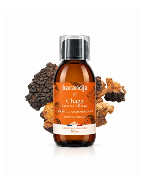 Extrait de champignon bio Chaga 150 ml, flacon en verre ambré