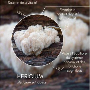 karandja-mycostim-hericium-150ml-bio-2.jpg Extrait de champignon bio Hericium 150 ml, flacon en verre ambré – vue 3