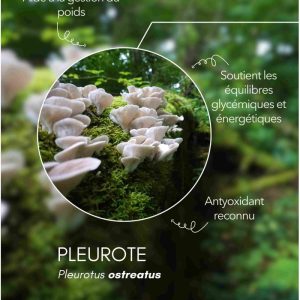 karandja-mycostim-pleurote-150ml-bio-2.jpg Extrait de champignon bio Pleurote 150 ml, flacon en verre ambré – vue 3
