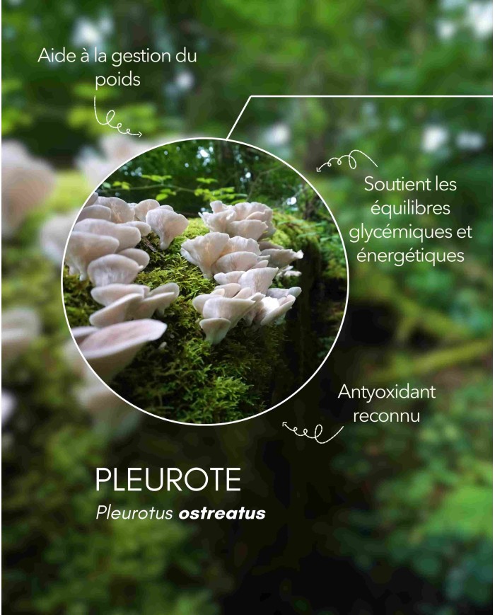 karandja-mycostim-pleurote-150ml-bio-2.jpg Extrait de champignon bio Pleurote 150 ml, flacon en verre ambré – vue 3