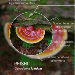 karandja-mycostim-reishi-150ml-bio-2.jpg Extrait de champignon bio Reishi 150 ml, flacon en verre ambré – vue 3