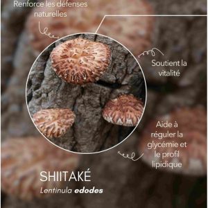 karandja-mycostim-shiitake-150ml-bio-2.jpg Extrait de champignon bio Shiitaké 150 ml, flacon en verre ambré – vue 3