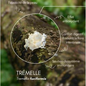 karandja-mycostim-tremelle-150ml-bio-2.jpg Extrait de champignon bio Trémelle 150 ml, flacon en verre ambré – vue 3