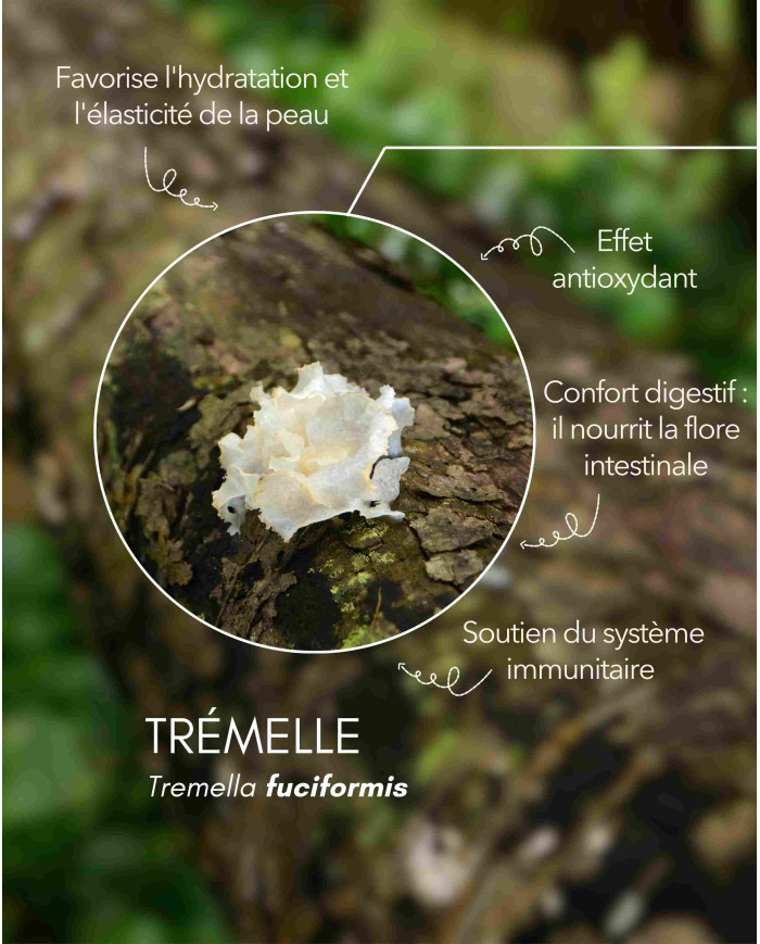karandja-mycostim-tremelle-150ml-bio-2.jpg Extrait de champignon bio Trémelle 150 ml, flacon en verre ambré – vue 3