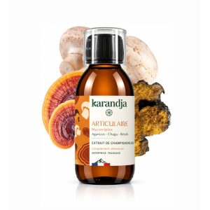 karandja-mycotriplex-n01-articulaire-150ml-bio.jpg Mycotriplex Articulaire, extrait de champignons bio 150 ml