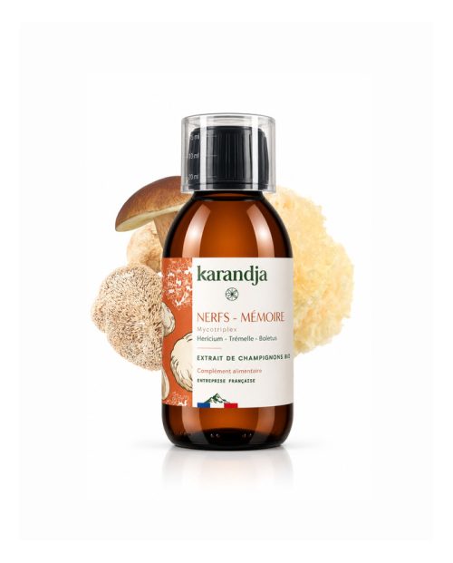 karandja-mycotriplex-n06-nerfs-memoire-150ml-bio.jpg Mycotriplex Nerfs Mémoire, extrait de champignons bio 150 ml