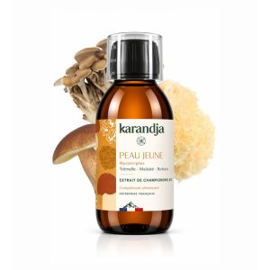 karandja-mycotriplex-n07-peau-jeune-150ml-bio.jpg Mycotriplex Peau Jeune, extrait de champignons bio 150 ml